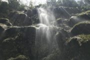 トゥマログの滝、オスロブジンベイザメツアー@allblue