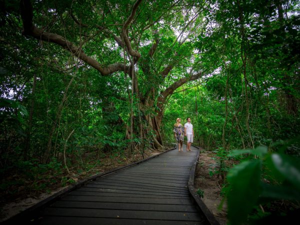 green_island_rainforest_walk1.jpg